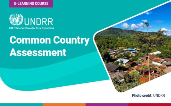 Common Country Assessment