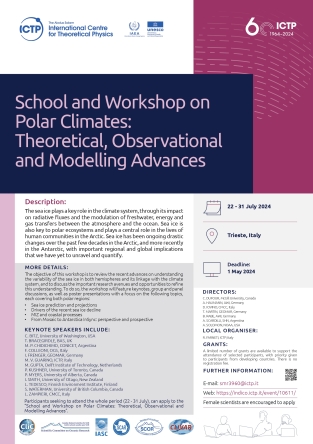 Workshop on the Role of Sea Ice and its Variability in the Climate System 