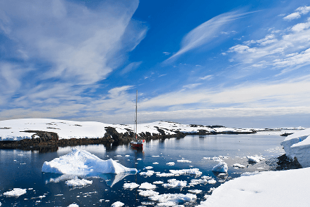 International polar year image